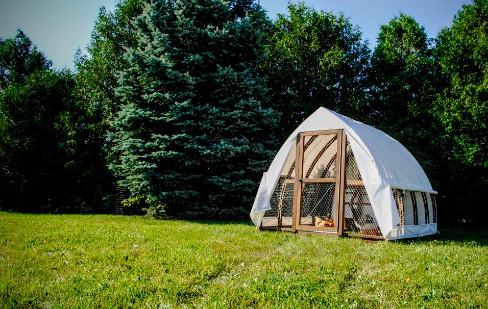 Our coop's secret? It's all in the design! YardHouse is a modular masterpiece – extremely lightweight and a breeze to assemble. Perfect for those who love a DIY challenge or prefer simplicity in their coop setup. 