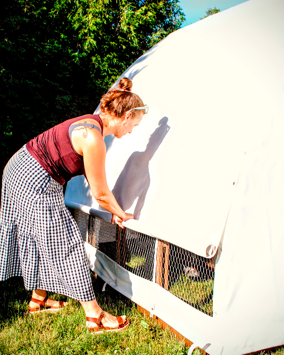 As temperatures rise above 80 degrees, it's important to provide shade and plenty of fresh water for your chickens to prevent heat stress. Stay tuned for tips on keeping your flock cool! 