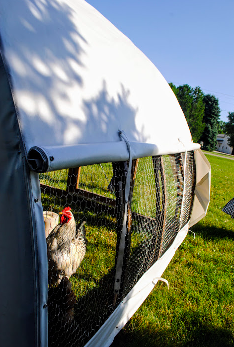 Discover the endless possibilities for your backyard with Yardhouse Coops. Whether you're a seasoned homesteader or just starting out, our modular designs and unmatched quality ensure that your backyard dreams become a reality. Get in touch with us today and let's transform your backyard into a haven of sustainability, productivity, and beauty!